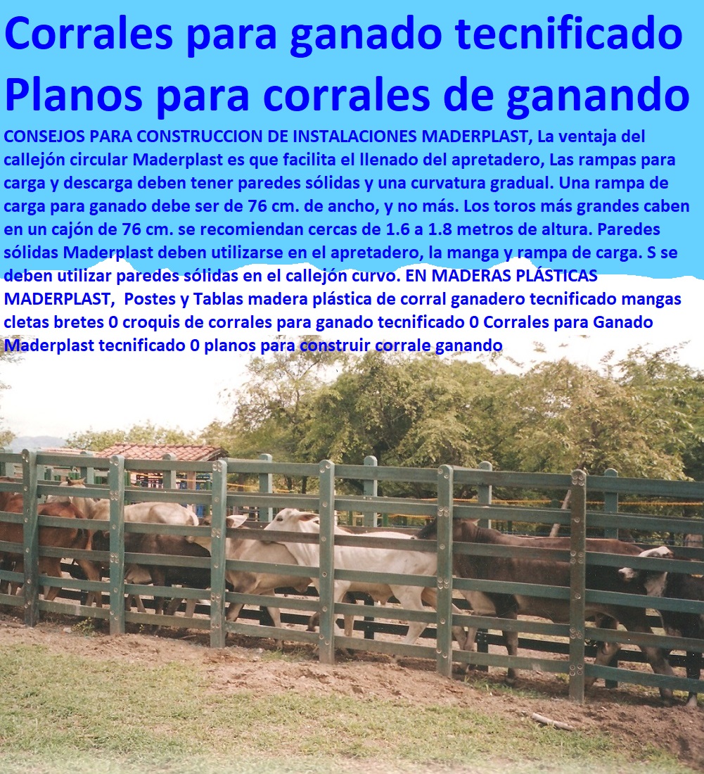 Manga Bretes Apretaderos Calcetas Maderplast Corral de trabajo ganadero 0 Modelos de Establos Para Ganado Vacuno 0 Proyectos de Desarrollo Ganadero Maderplast 0 Camas Para Ganado Estabulado Maderplast 0 Como Estabular con bretes 0 Manga Bretes Apretaderos Calcetas Maderplast Corral de trabajo ganadero 0 Modelos de Establos Para Ganado Vacuno 0 Explotación Ganadera Automatizada, Sistemas de Pastoreo, Estabulación de Ganado, Pastoreo Intensivo, Establos, Corrales, Saladeros, Comederos, Cerramientos, Postes, Ganaderías Tecnificadas, Ganaderías Tecnificadas, Proyectos de Desarrollo Ganadero Maderplast 0 Camas Para Ganado Estabulado Maderplast 0 Como Estabular con bretes 0